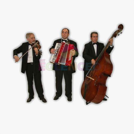 Trio muzik grubu