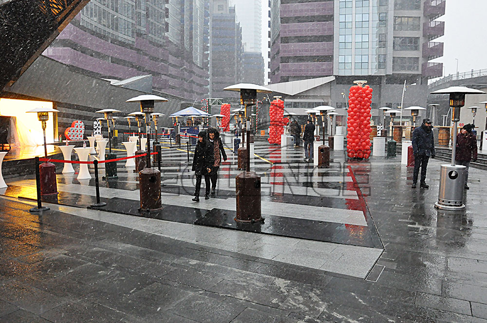 palmiye-mantar-soba-kiralama